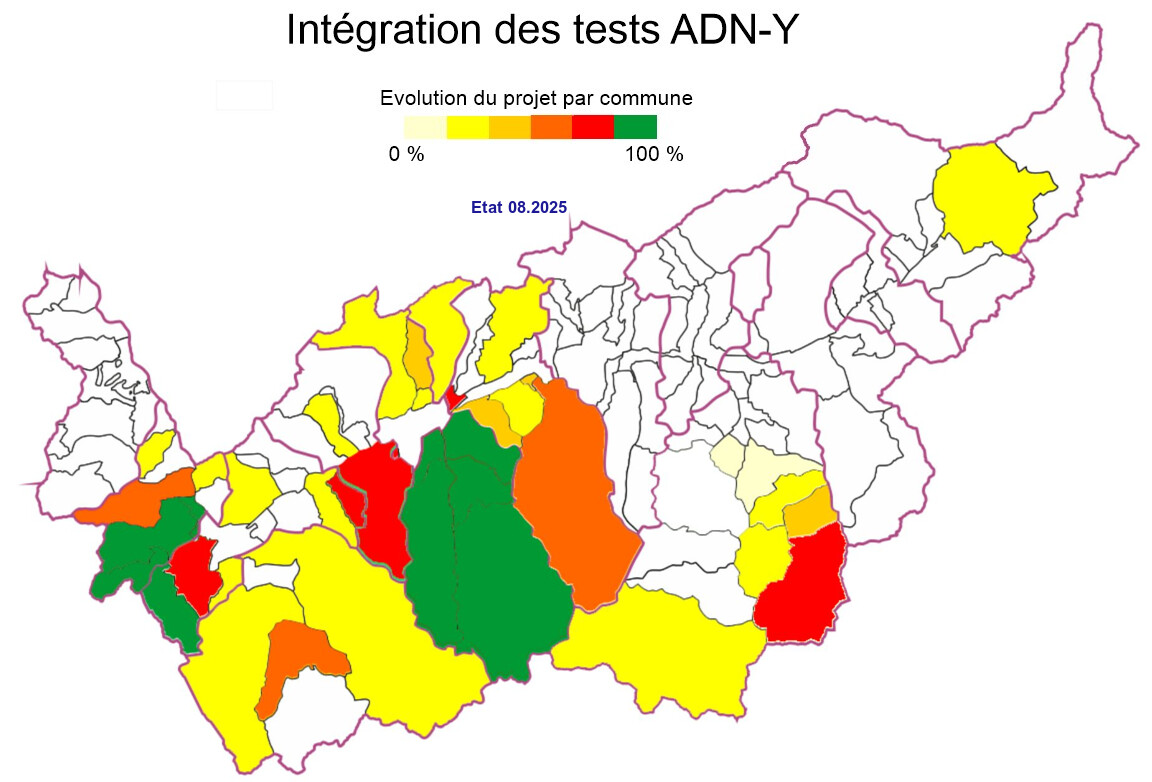 Intégration des tests ADN-Y, état 08.2025