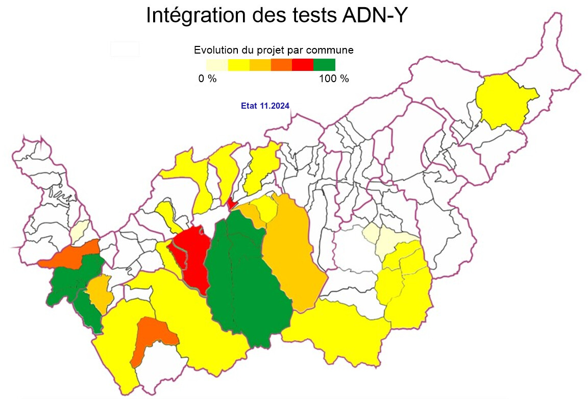 Intégration des tests ADN-Y, état 11.2024